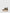 Chat M Militar AS PORTUGUESAS